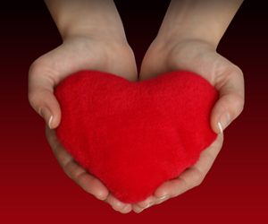 donate organ - heart